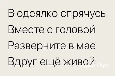 6766679f4e453774cf2742b.webp