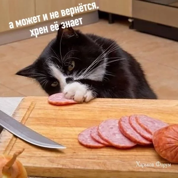 67740ccd8dddba7afe40d367.webp