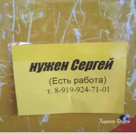 6776810d12e1f26fa0590.webp