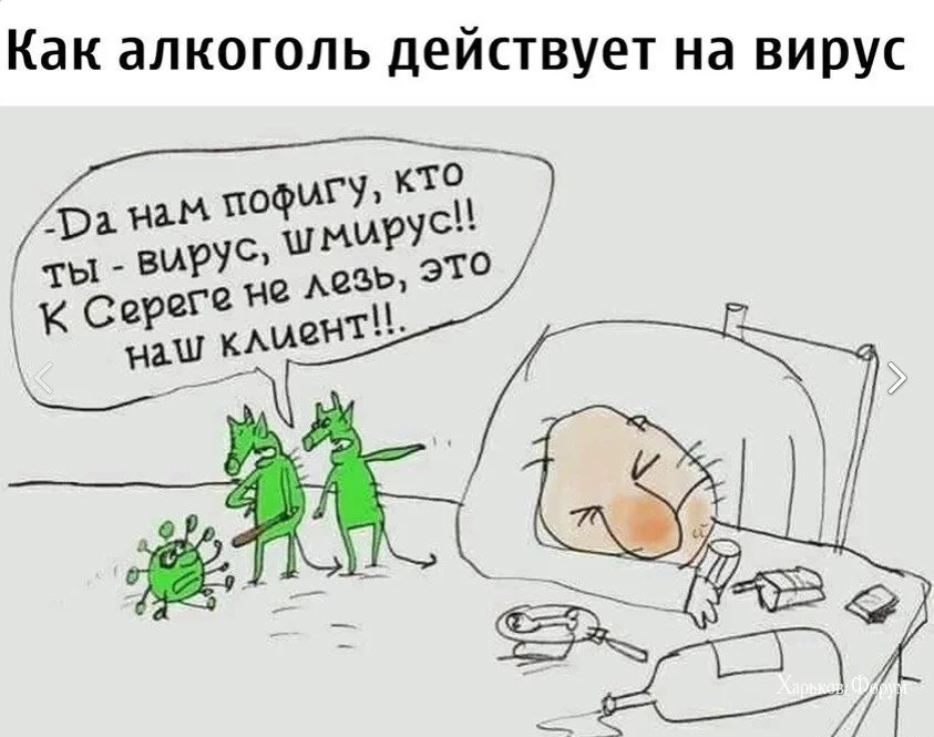 677a0c96facee9e80.webp