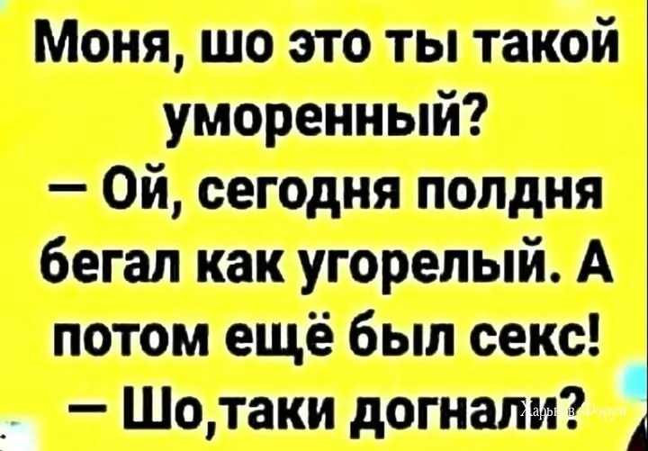 67946427caa06f0bba.webp