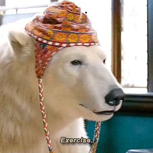 6795a02402e70388d488a5ae3fba7ea1df553b61.gif