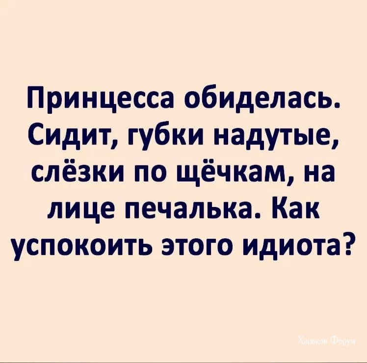 67b48db617d617d86.webp