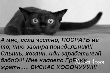 67c94c1ccaedae7631f4f03.webp