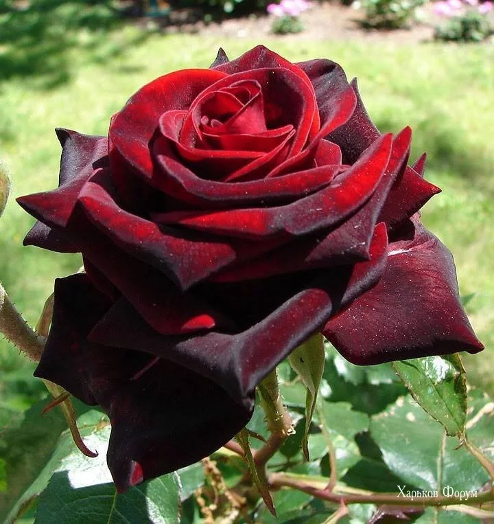 67ead0079962c2bb15ea28a6.webp