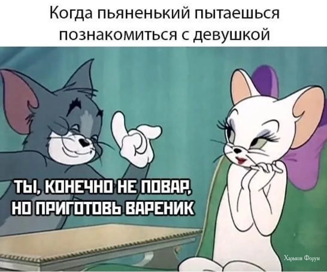 67ec9caf6c53e6b575fd.webp