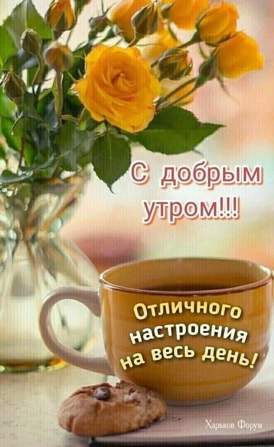 67f32e855586104c7.webp