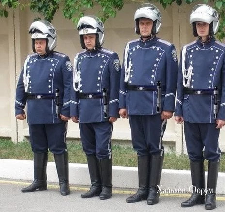 67fb097a01737266.webp