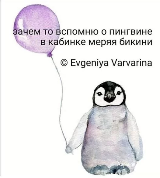 681af61493fcf481f10.webp