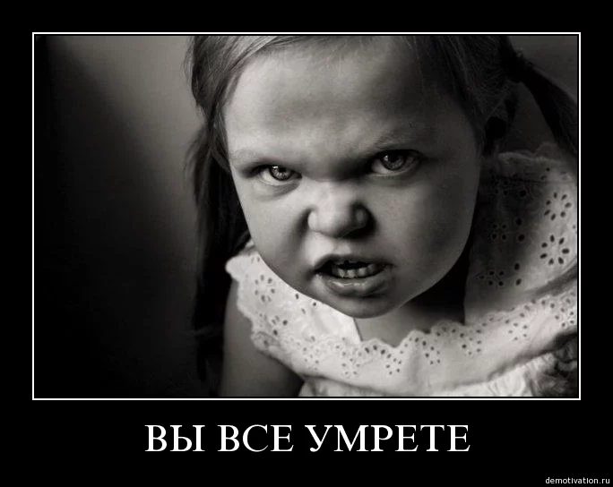 68235546.webp