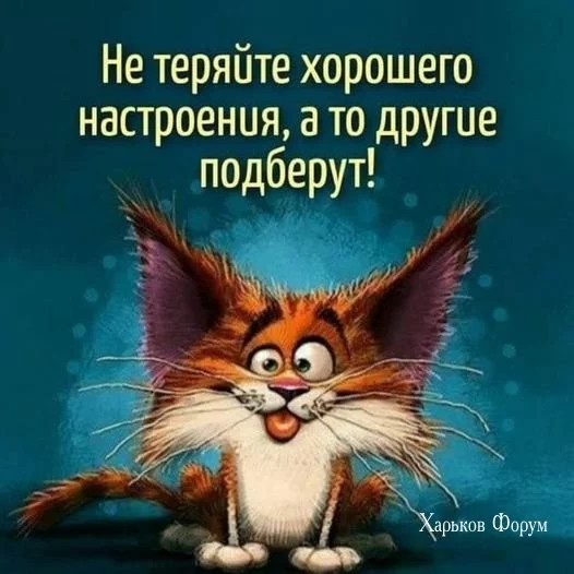 6837ced9fc492a1189c41.webp