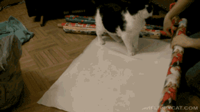 6841577.gif