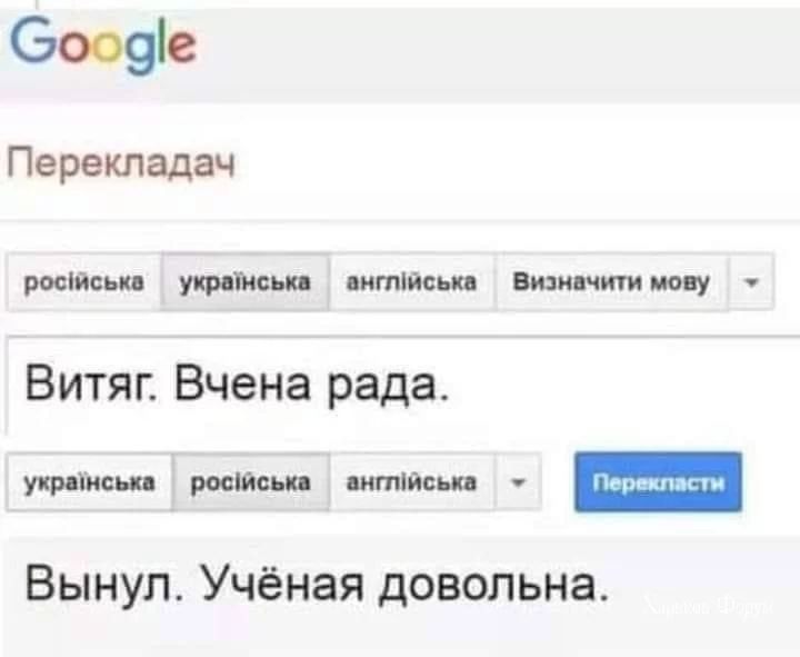 684302ed111362f5.webp