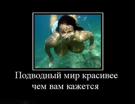 685665_podvodnyij-mir-krasivee-chem-vam-kazhetsya-.webp