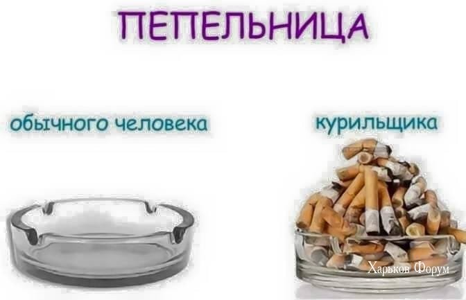 6872df9b08f18c2e71269ca6.jpg