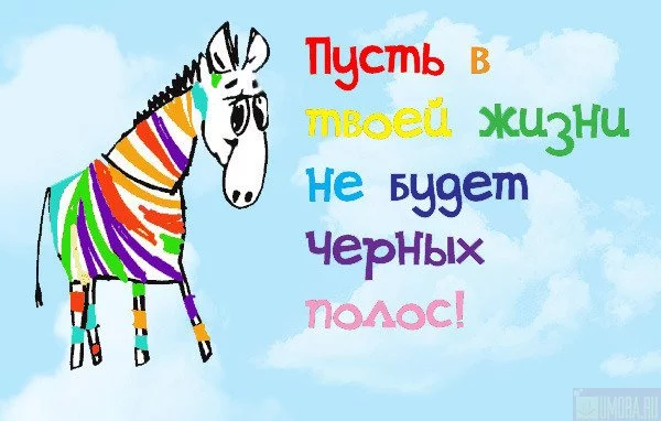 687e5a47036a174d8935e78bf54a0c36.webp