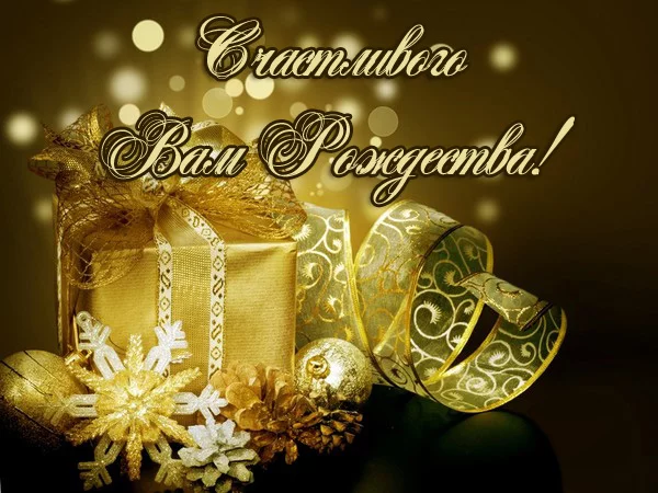 68863748_428c0fb21cb2.webp