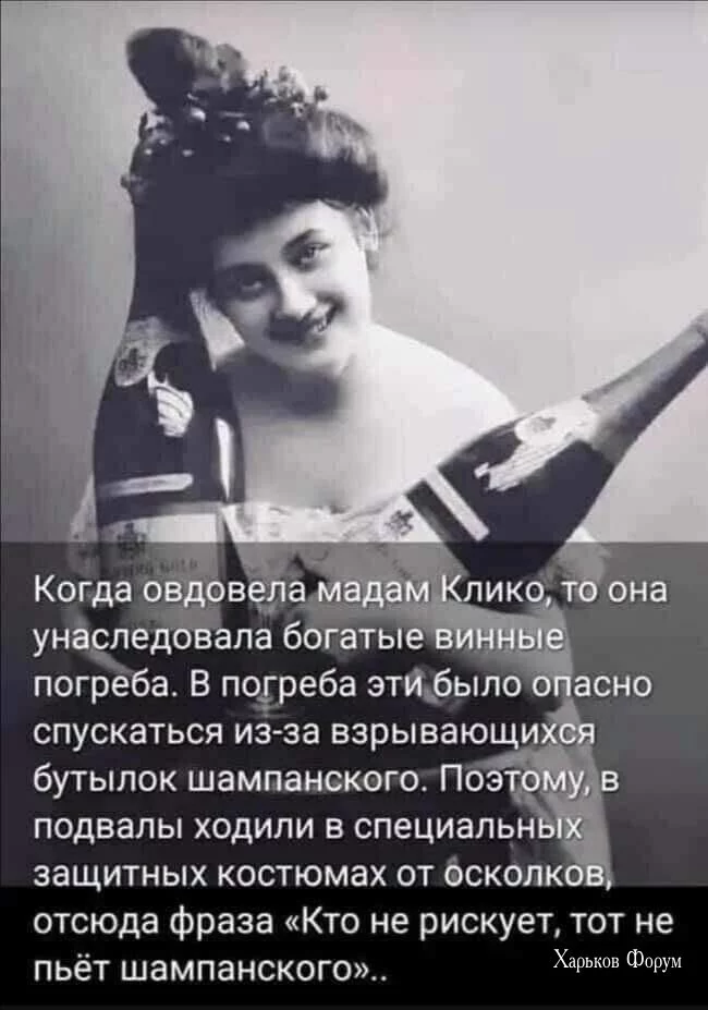 688fc2ea633386f50a4498.webp