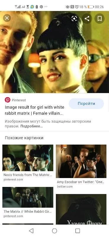68962126e4bf8f91d7.webp