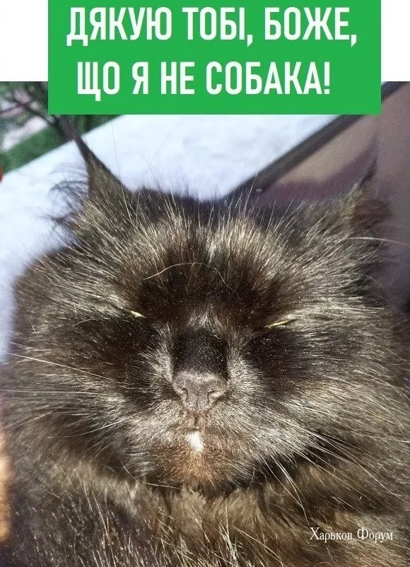 68b2f5336fab86865.webp