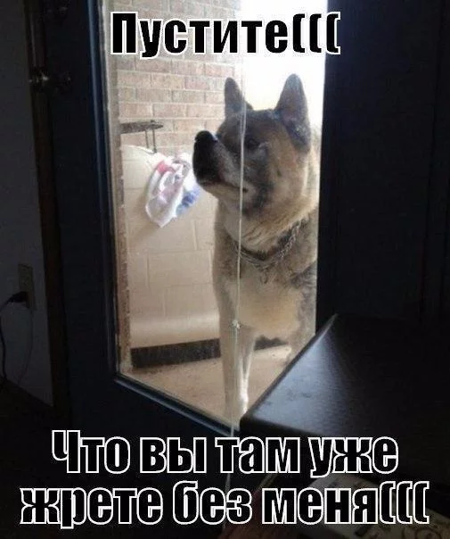 68ce8a6526099d99c28d1ebddb398608.webp