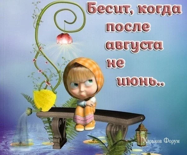 68d6b7884e7b963a184.webp
