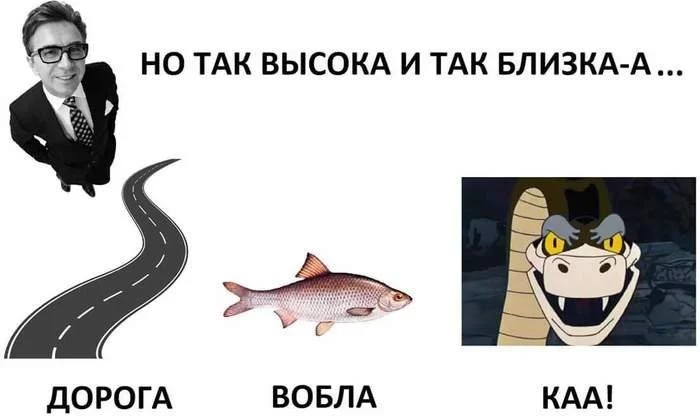 68eb50010629cc02c740.webp