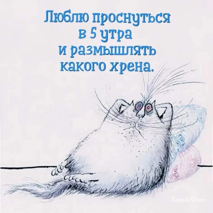68ecb0d2659dc1e64d9f9b45.webp