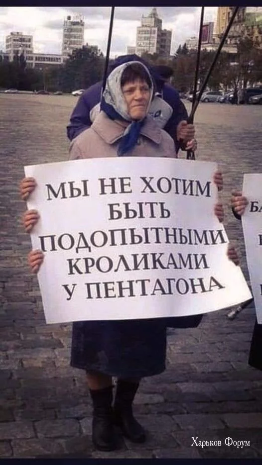 68eff26019d6f4a5c4c398.webp