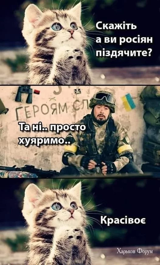 68f619db50d88000.webp