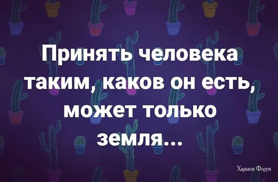 6904671ad30117cb862f0c.webp