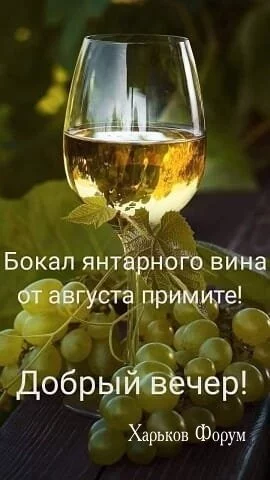 6904e497b3f032d312.webp