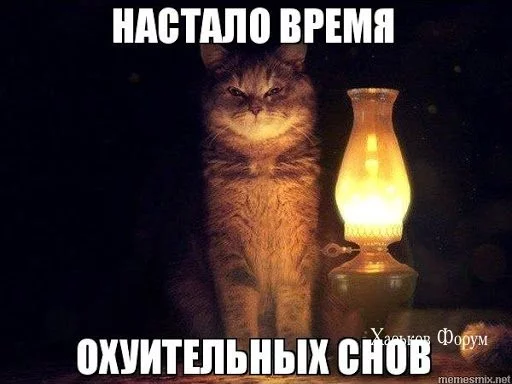 690c77ef82cdbcccda5.webp
