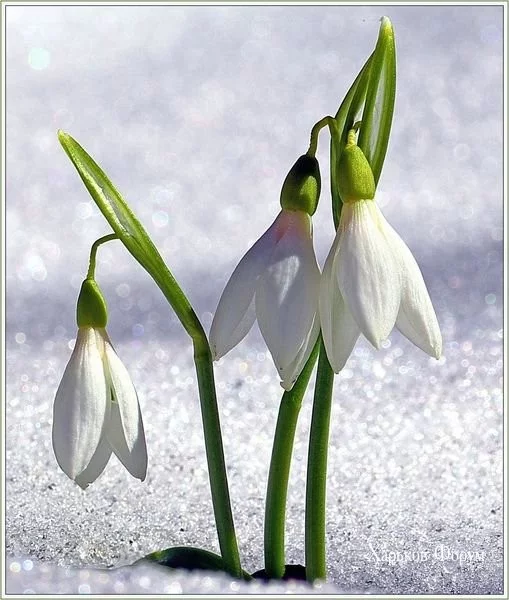 6915c379fa712f09a.webp