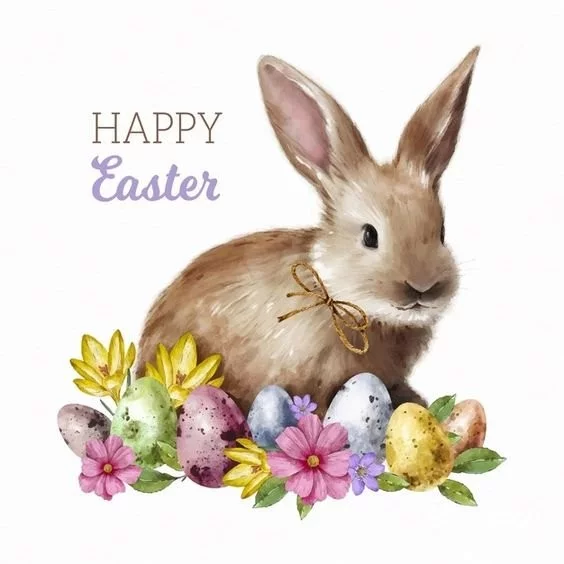 692b8617a564ae3e12985.webp