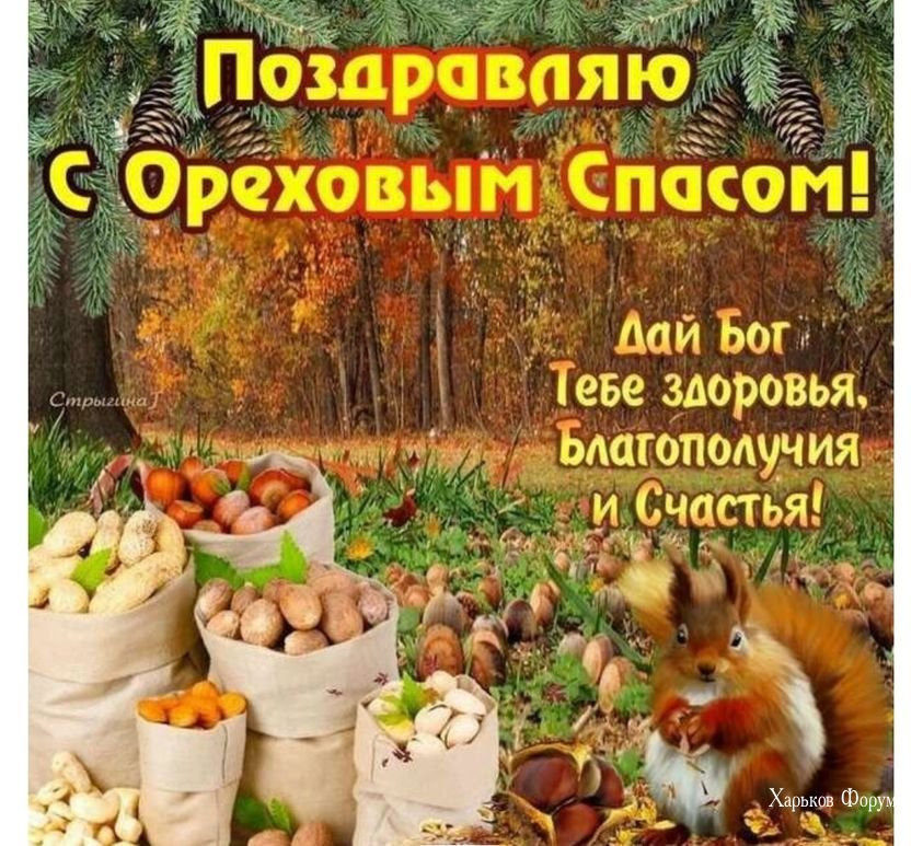 692c80c3150d38e5f.jpg