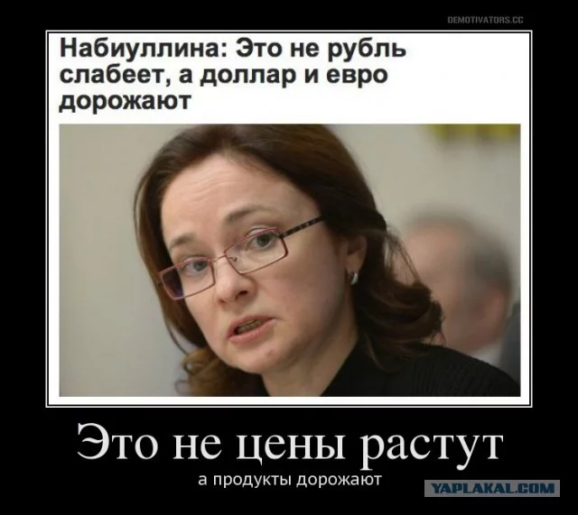 6935176.webp