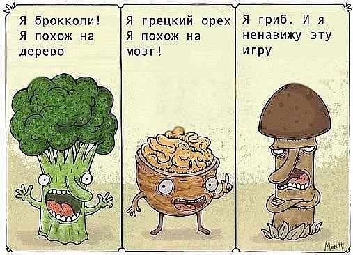 69443998_x_5f8d2873.webp