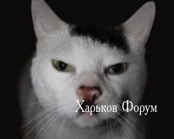 694876b969e5c7c68.webp