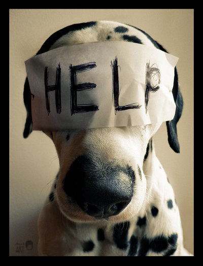 69521891_1295550333_HELP_by_Anuk.jpg