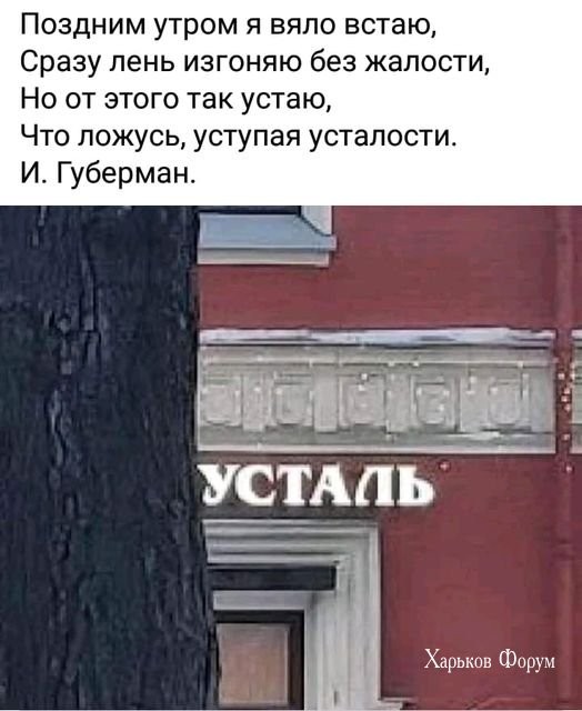 6955409e53439733a.jpg