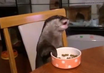 695c571f5889092bcb45a47.gif
