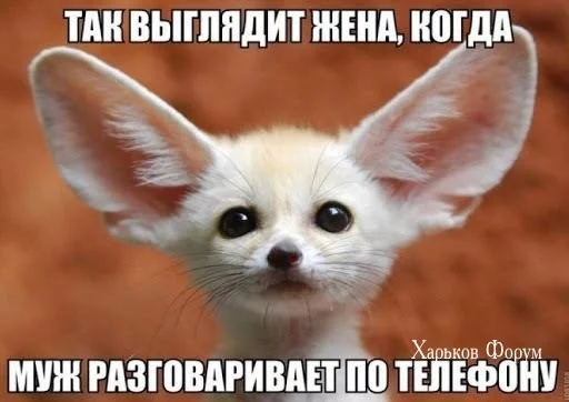 696c64b3cab235f02503258c.webp