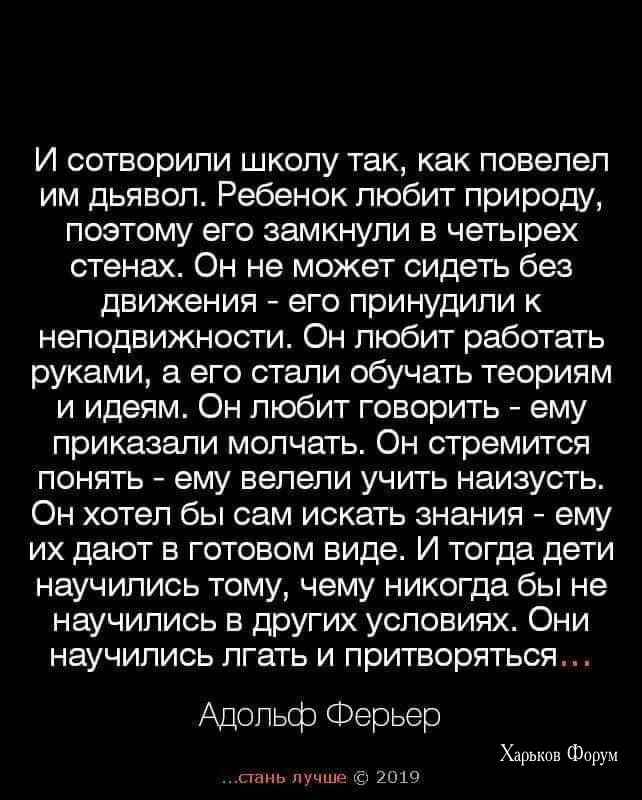 6982f25c6c8be3555cf7ca.webp