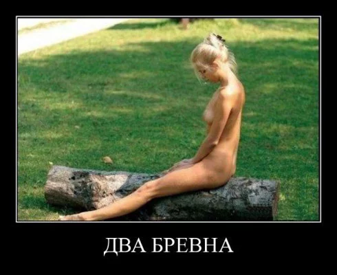 6982fe06a7685de9eed5065797d44237.webp