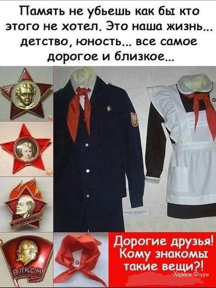 698585d6e23ce5d5369c.webp