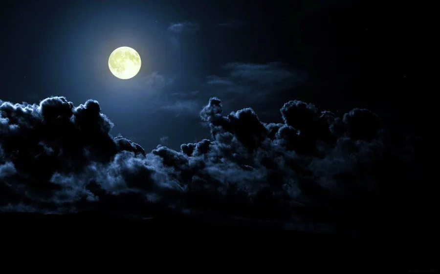 698671_900.webp
