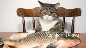 69b83740c1a6dbd294d.webp