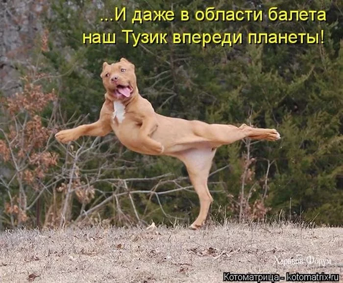 69b9177608babe93b6e4.webp