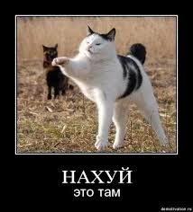 69bbe6c5084827c71c5a08a9440f398d.jpg